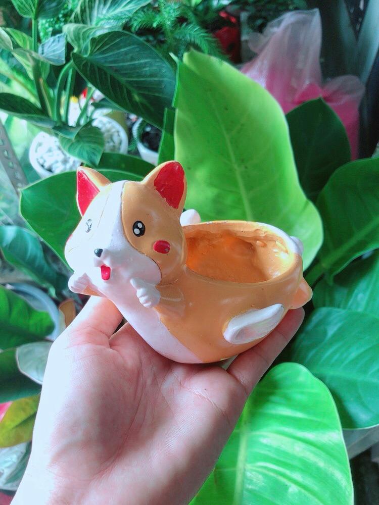 Chậu Trồng Cây
