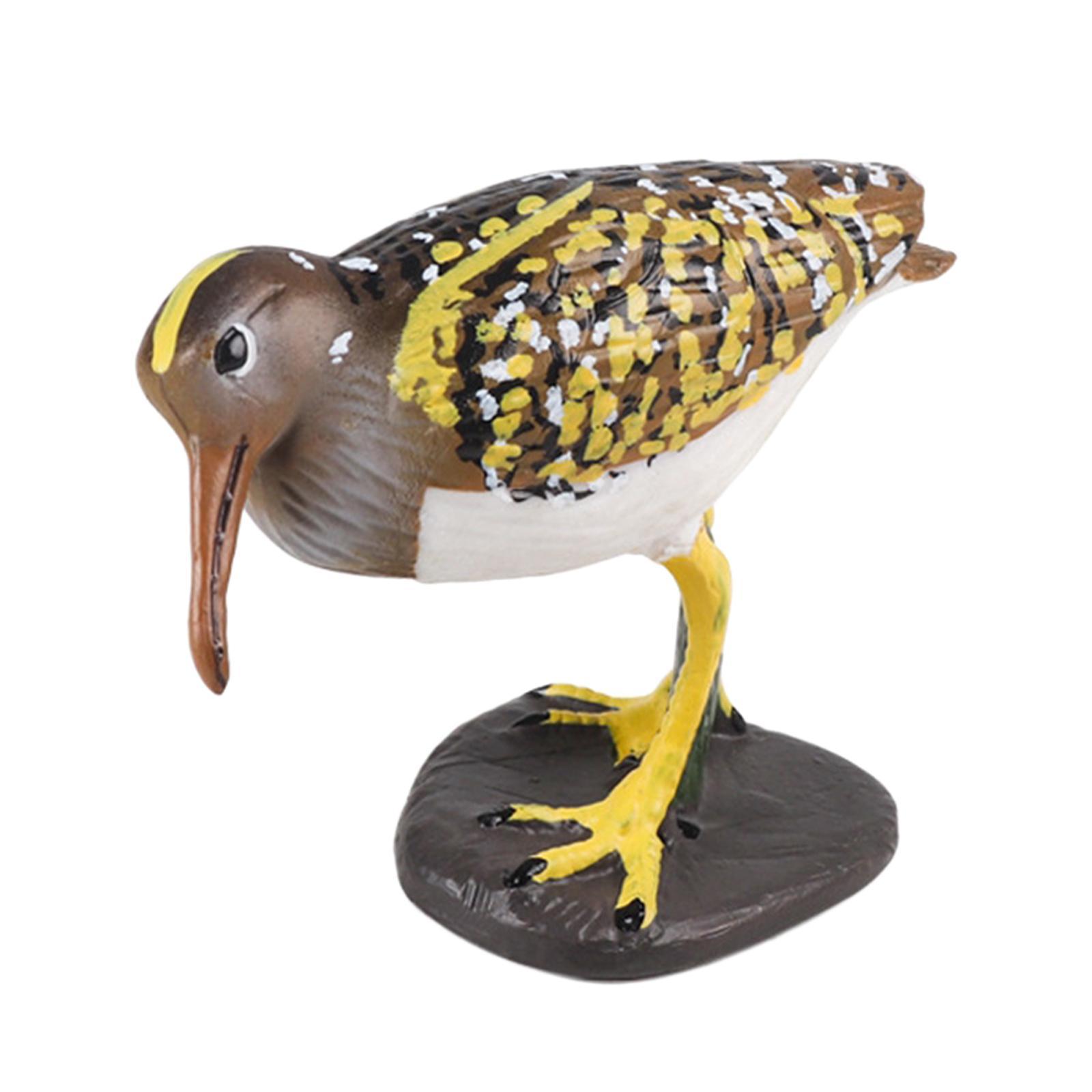 Durable Bird Figurine Ornament Fine Workmanship Bird Statue for Bookshelf Desktop