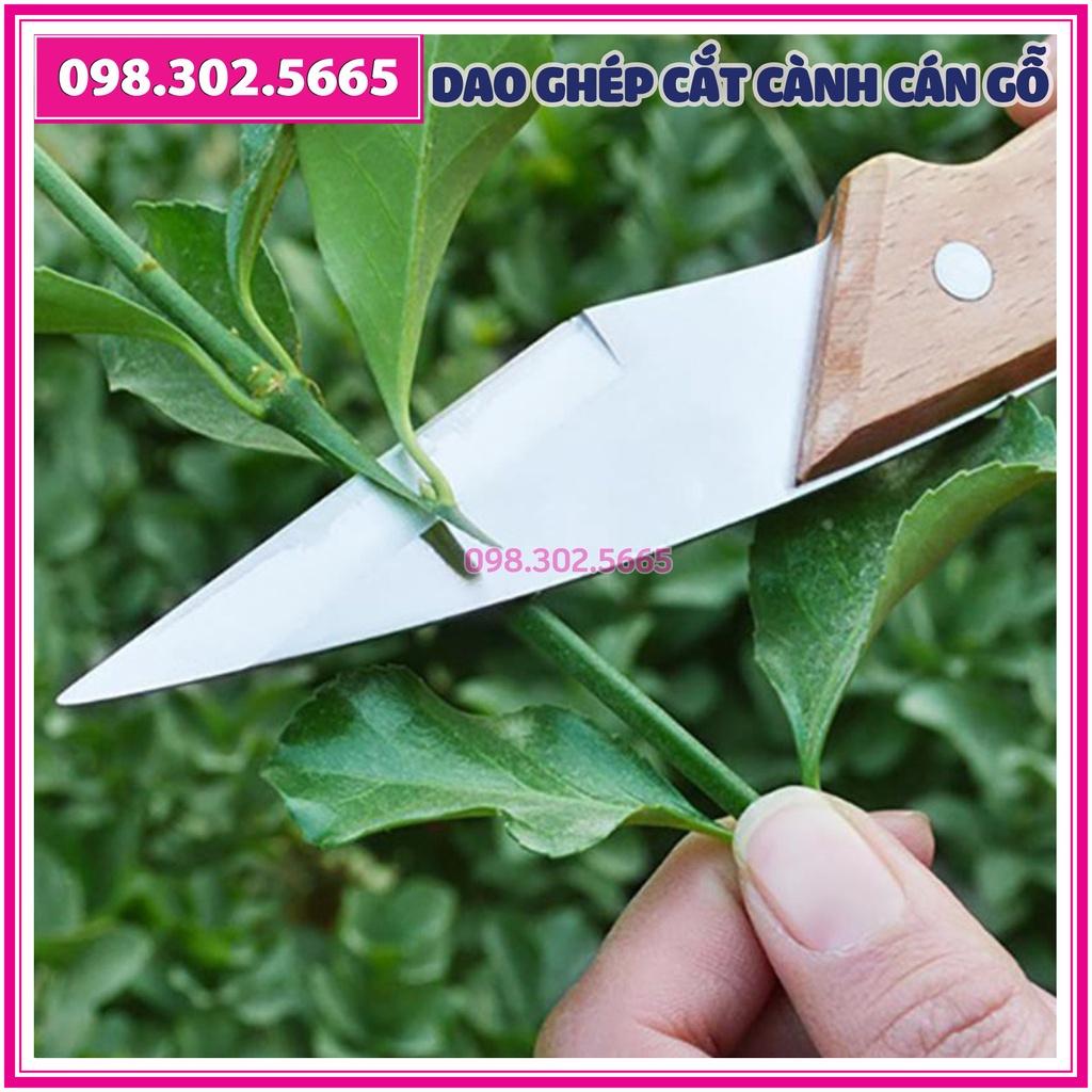 Dao chiết ghép cành cán gỗ thép tốt
