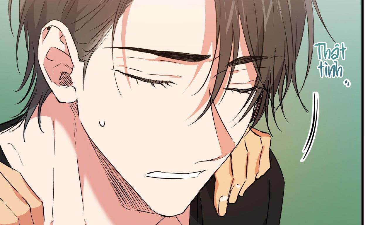 những chú thỏ của hapypy chapter 53 178