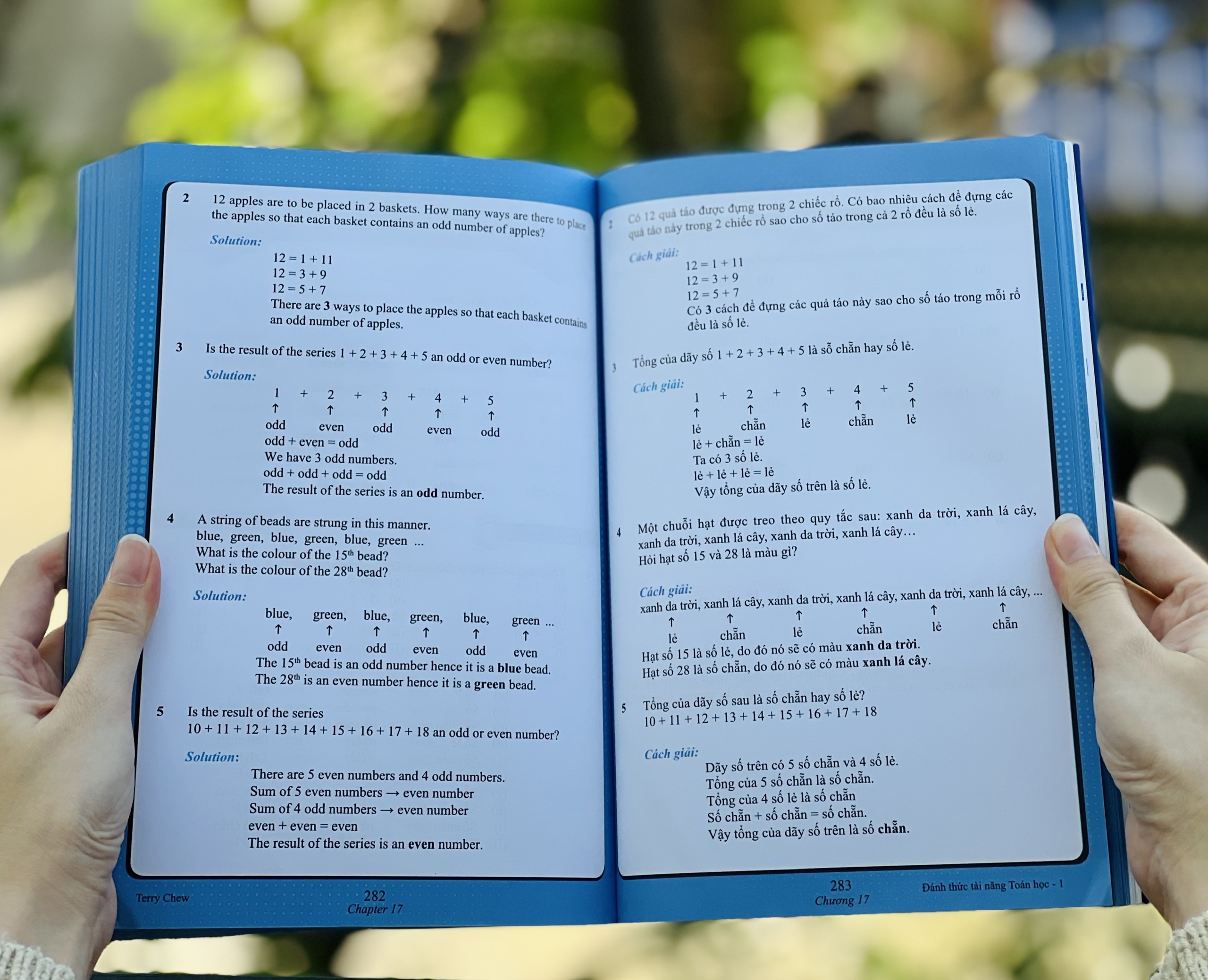 Sách đánh thức tài năng toán học 1, toán lớp 1, toán lớp 2