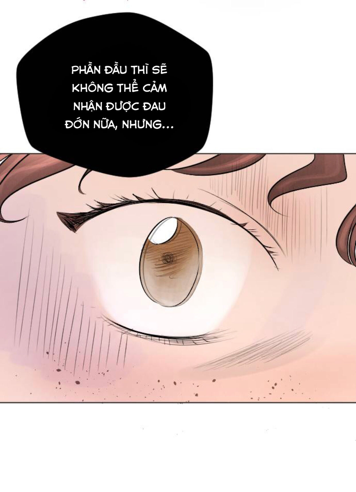 lựa chọn cuối cùng của tôi là nam phụ chapter 12 26