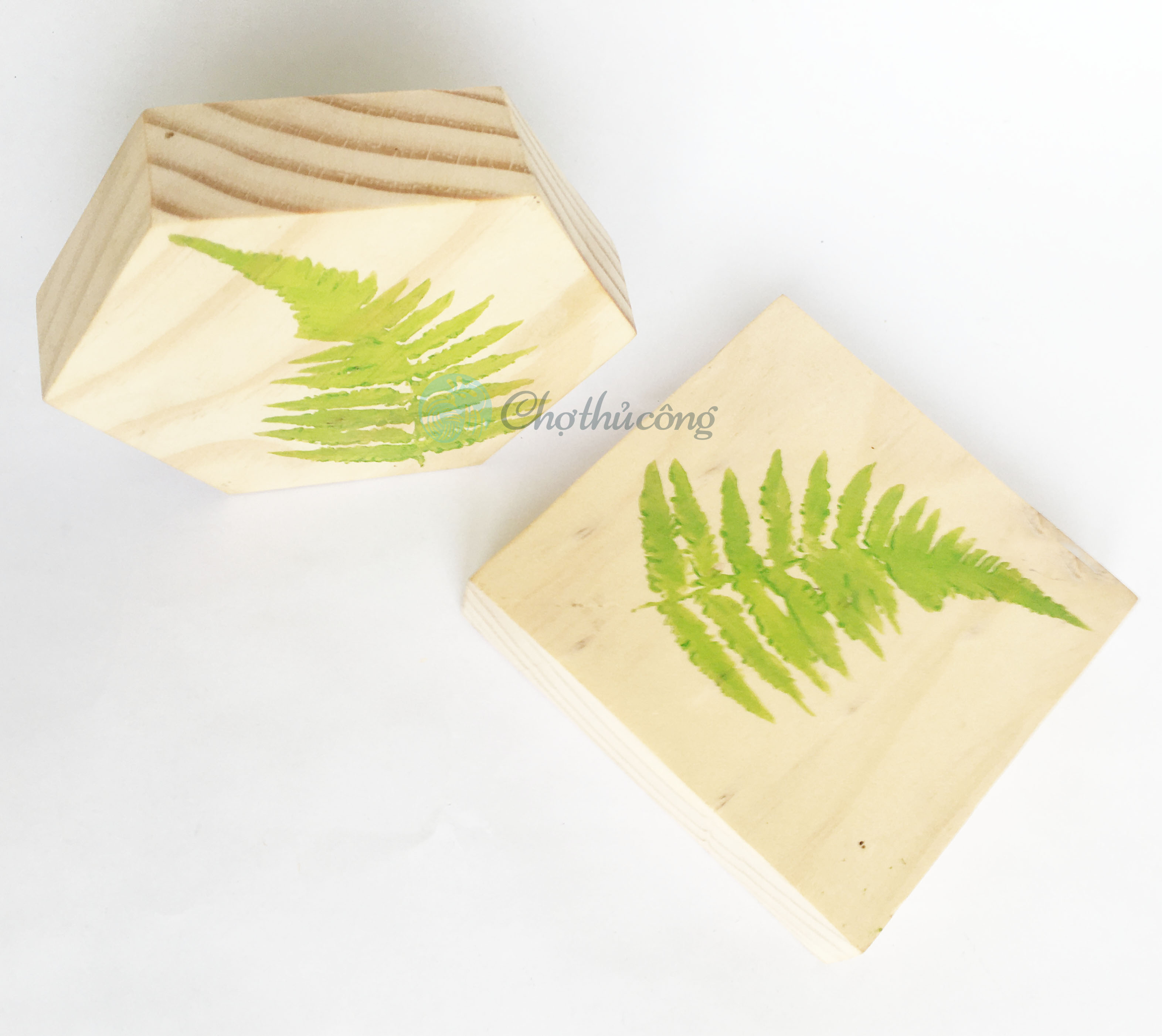 Miếng gỗ thông trơn hình vuông, hình lục giác, hình tròn dày 2cm dùng vẽ tranh decor, bảng treo cửa, bảng gỗ trang trí