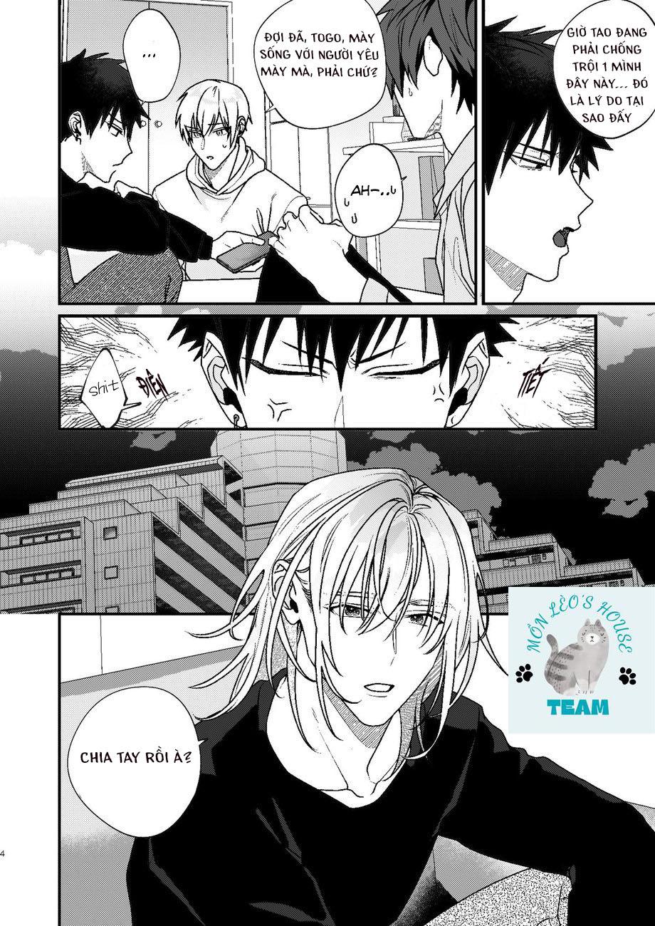 oneshot bl từ nhiều tác giả - mlèo dịch chapter 11 2