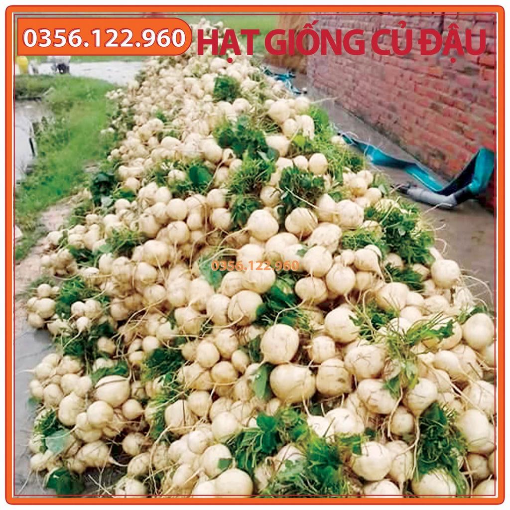 Hạt giống củ đậu cao sản - gói 200g - Hạt đậu chất lượng F1