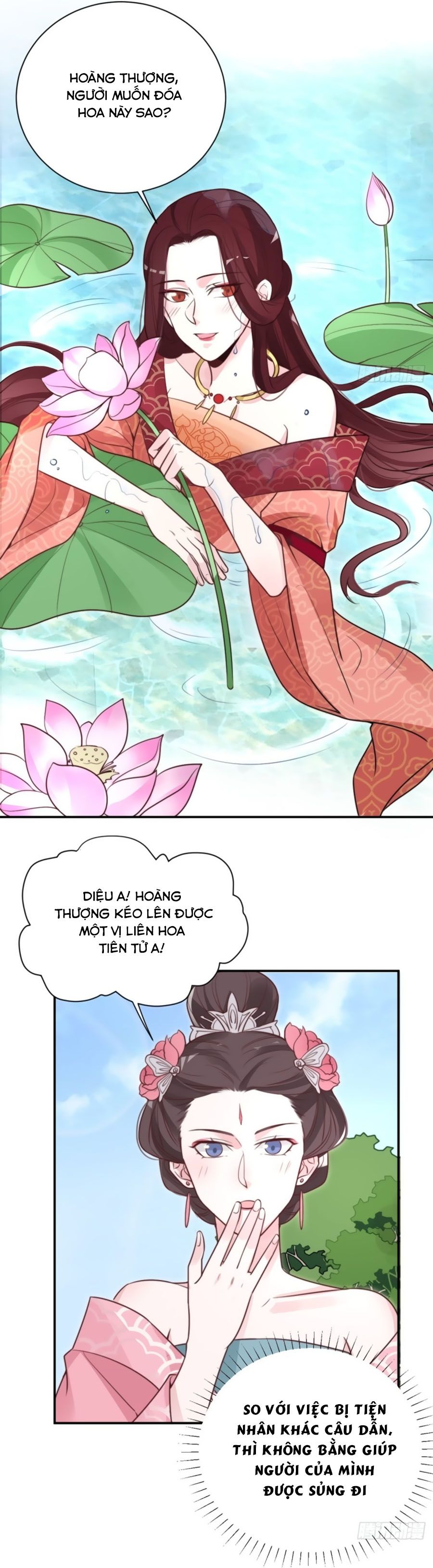 cung đấu live chapter 38 19