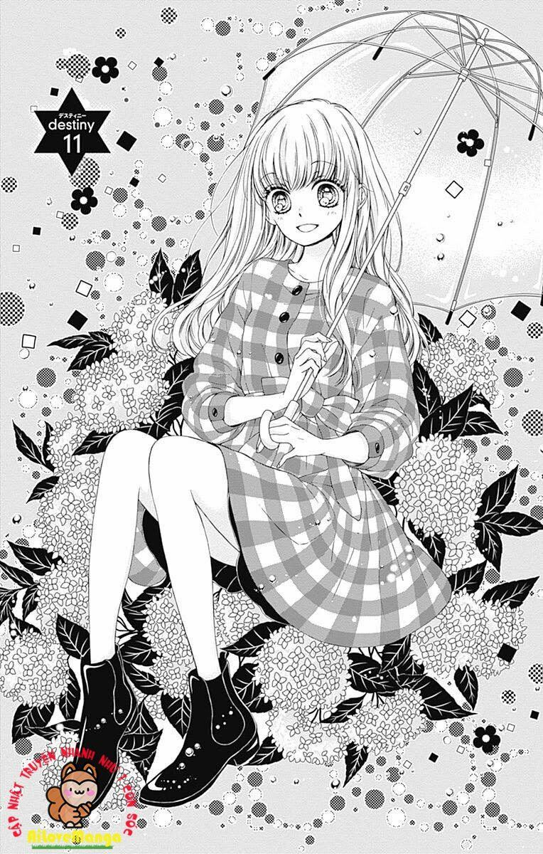 kirameki no lion boy chapter 11 2