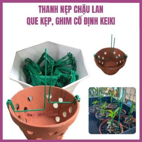 Thanh Nẹp Chậu Lan, Que kẹp, Ghim Cố Định Kie Siêu Tiện Lợi Dùng Cho Hoa Lan, Cây Cảnh - 10x17cm