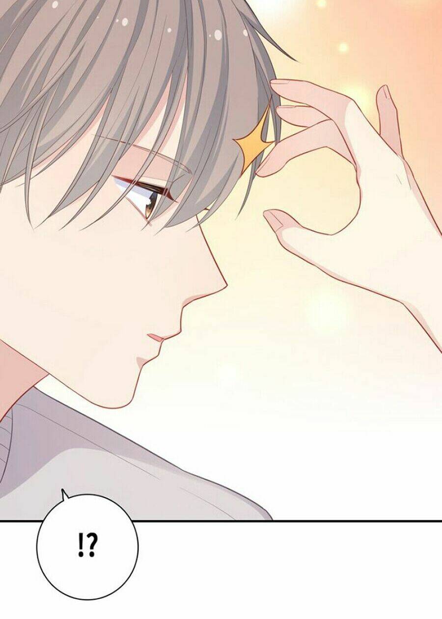 vương tử thành phố và công chúa amazon chapter 53 60