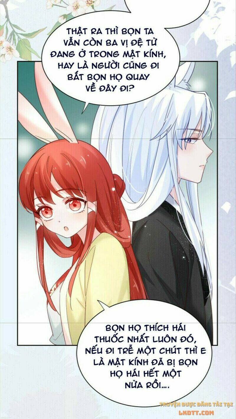 hắc hóa nam chính trực tuyến nuôi thỏ chapter 51 26