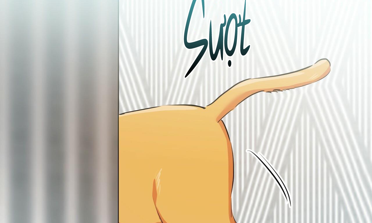 đàn thỏ của habibi chapter 30 233