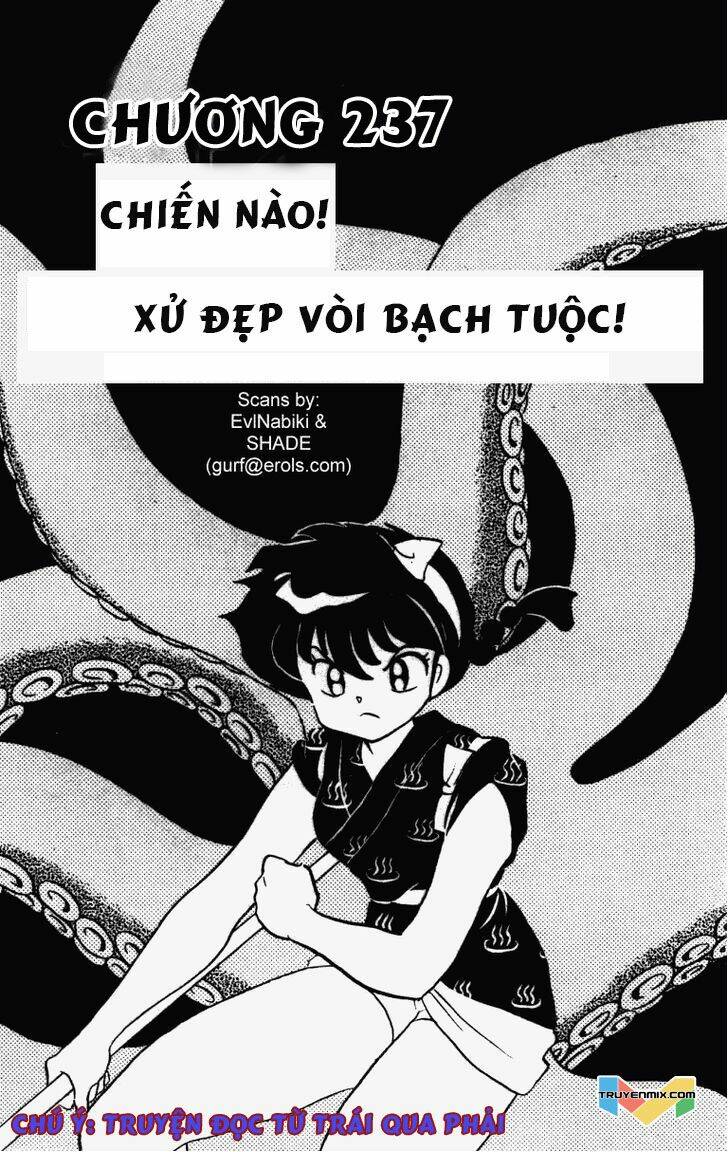 suối lời nguyền chapter 237 2