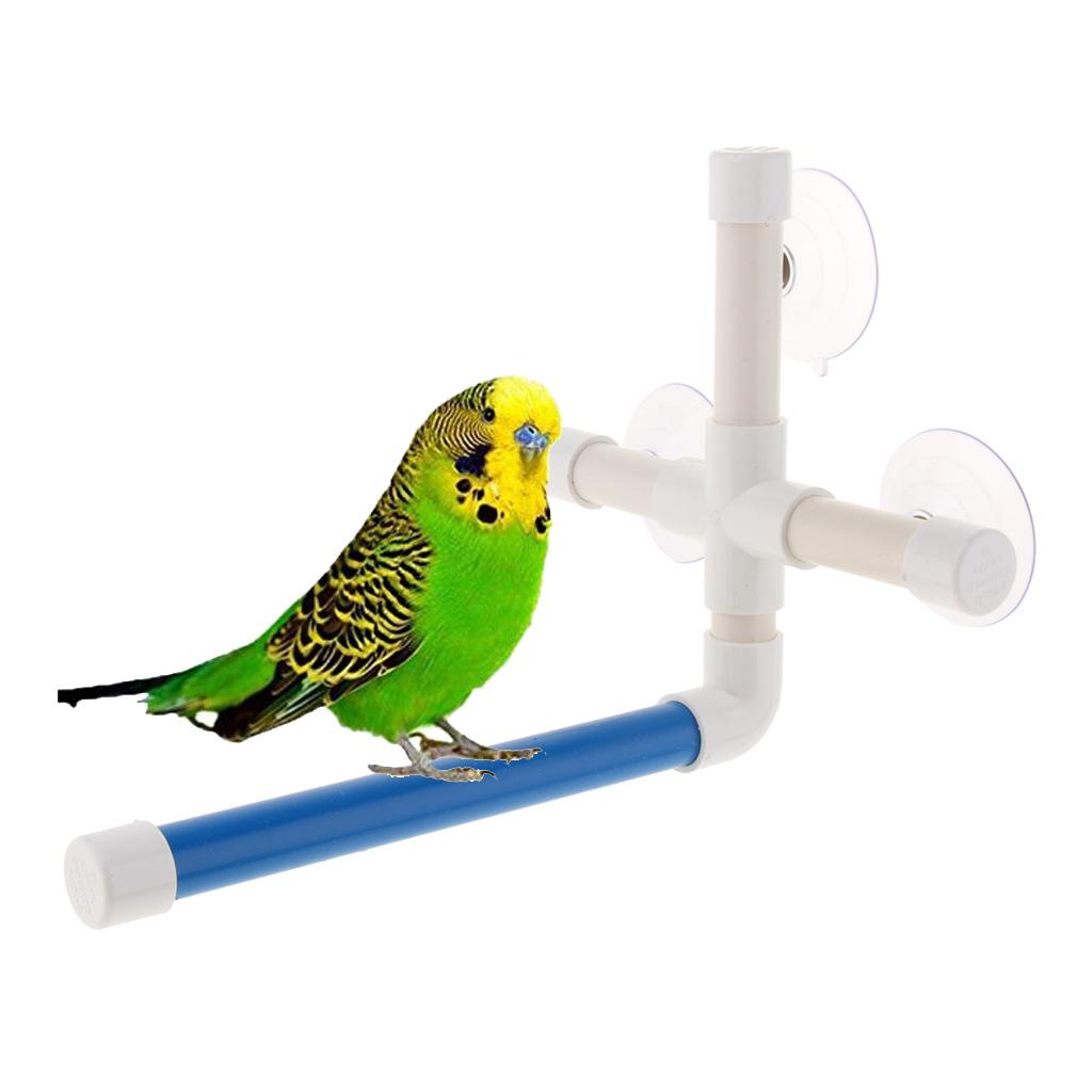 Hút Chim Tắm Cá Rô Đứng Cho Vẹt Macaw Vẹt Châu Phi Greys Đồ Chơi