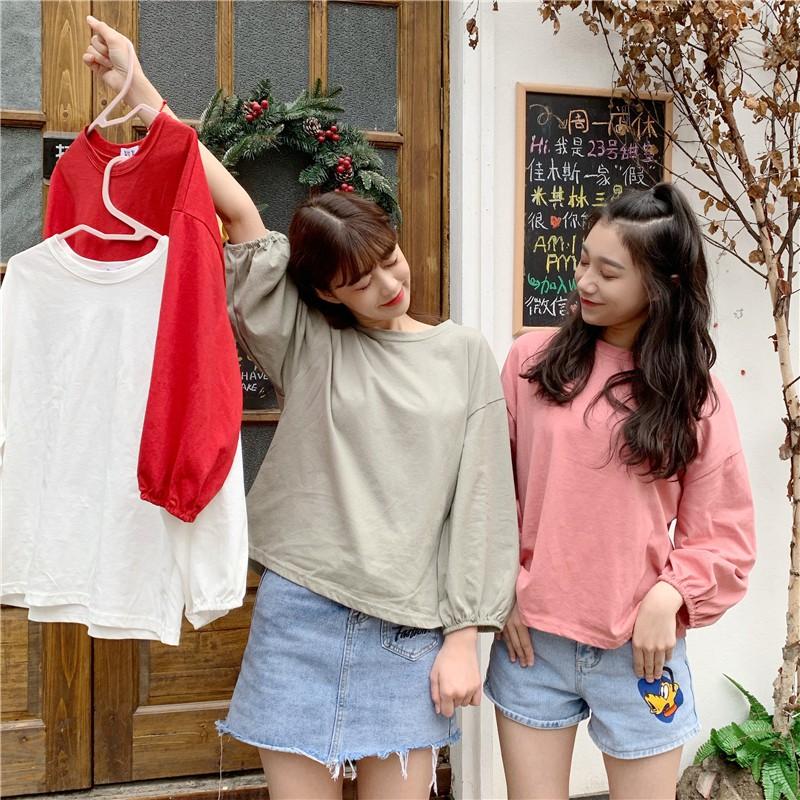 Áo Thun Dài Tay Cổ Tròn, Ống Tay Bo, Dáng Suông Chất Vải Mềm Mịn Freesize AT02