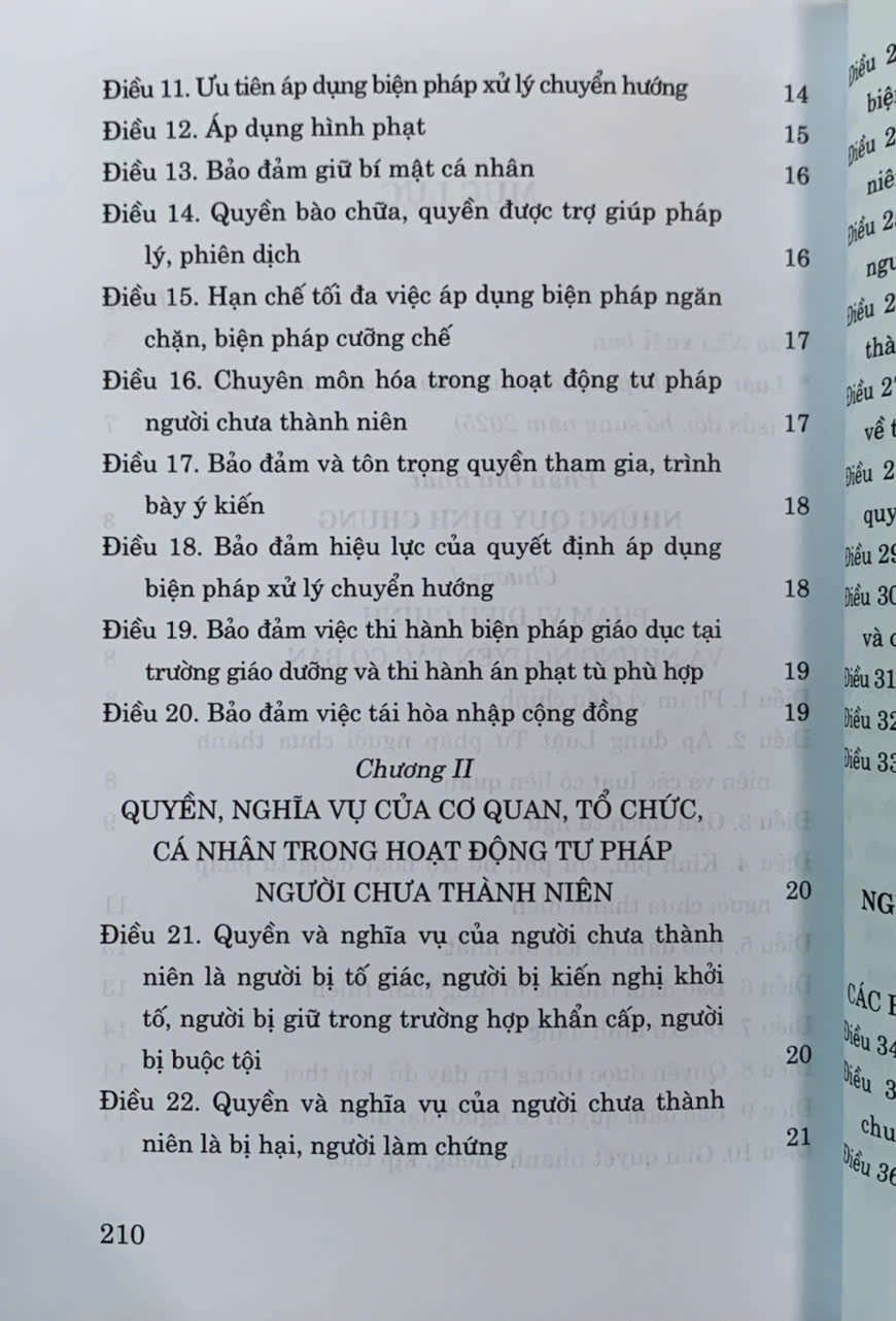 Luật Tư pháp người chưa thành niên năm 2024 (sửa đổi, bổ sung năm 2025)