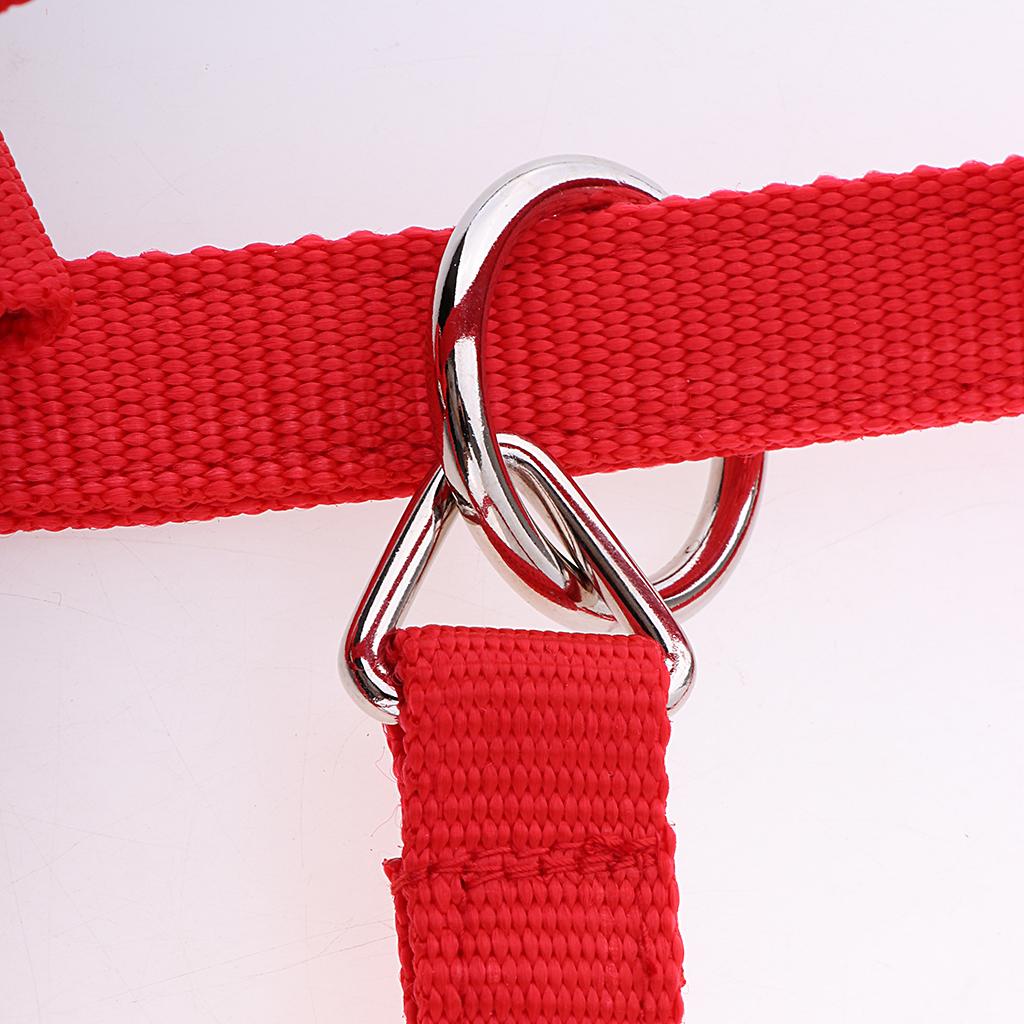 Adjustable Nylon Webbing Equestrian Western Horse Halter Horse Riding Wear Red S