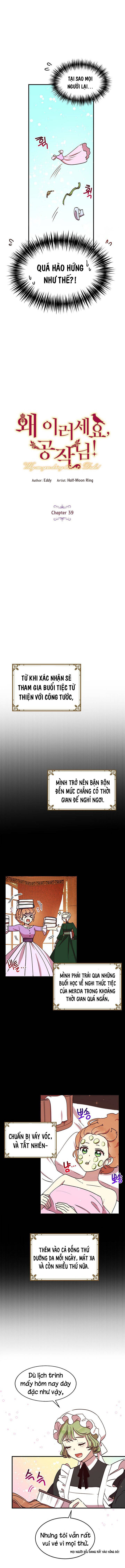 tại sao ngài làm điều này, công tước chapter 39 2