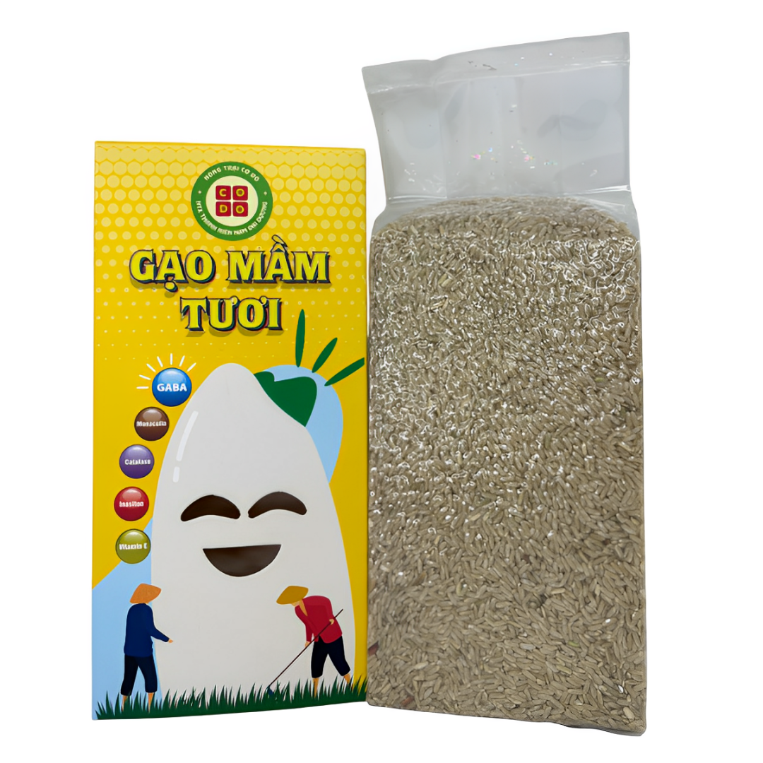 ST25 Gạo Mầm Gaba Cờ Đỏ Cho Bé Ăn Dặm Nấu Cháo Dinh Dưỡng Làm Trà, Cốm, Sữa Hộp 1kg