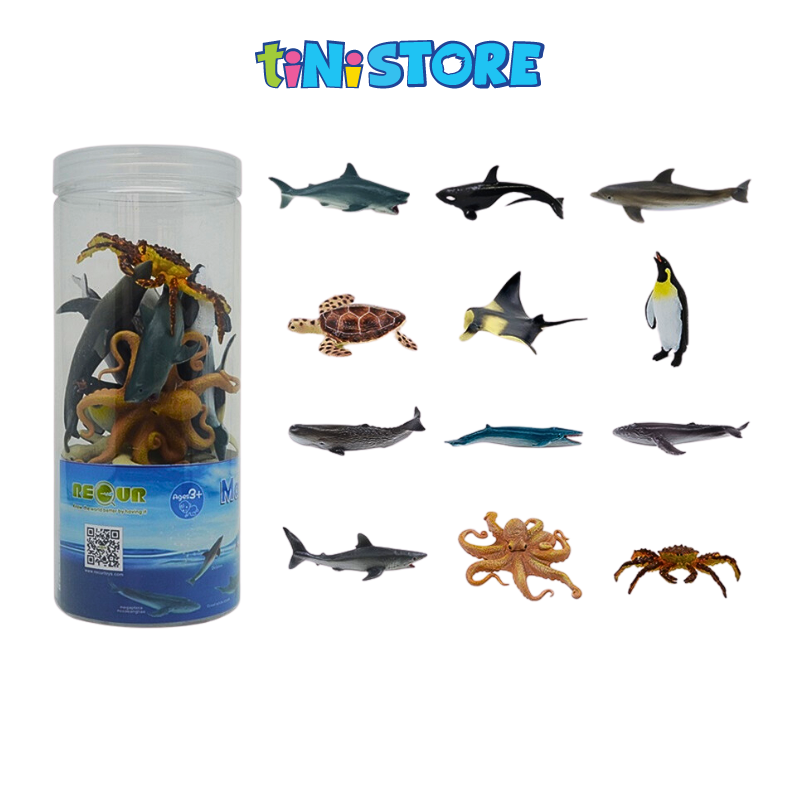 Bộ đồ chơi 12 mô hình sinh vật biển