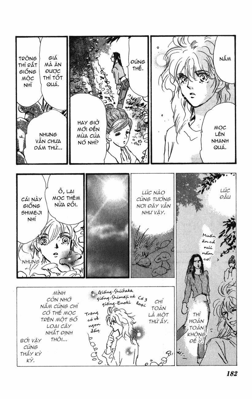 7 mầm sống chapter 116 31