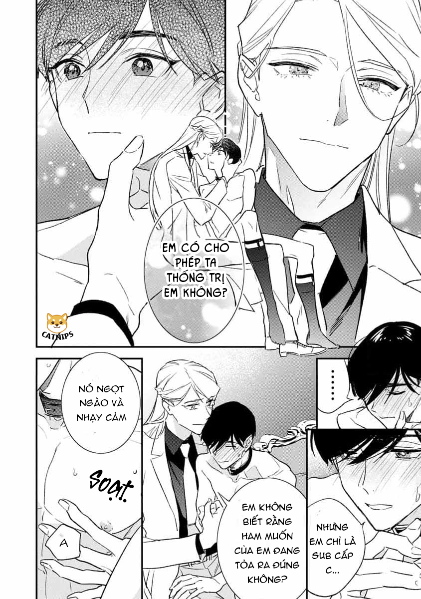 bác sĩ à, tôi là một chú chó biết yêu chapter 4 1