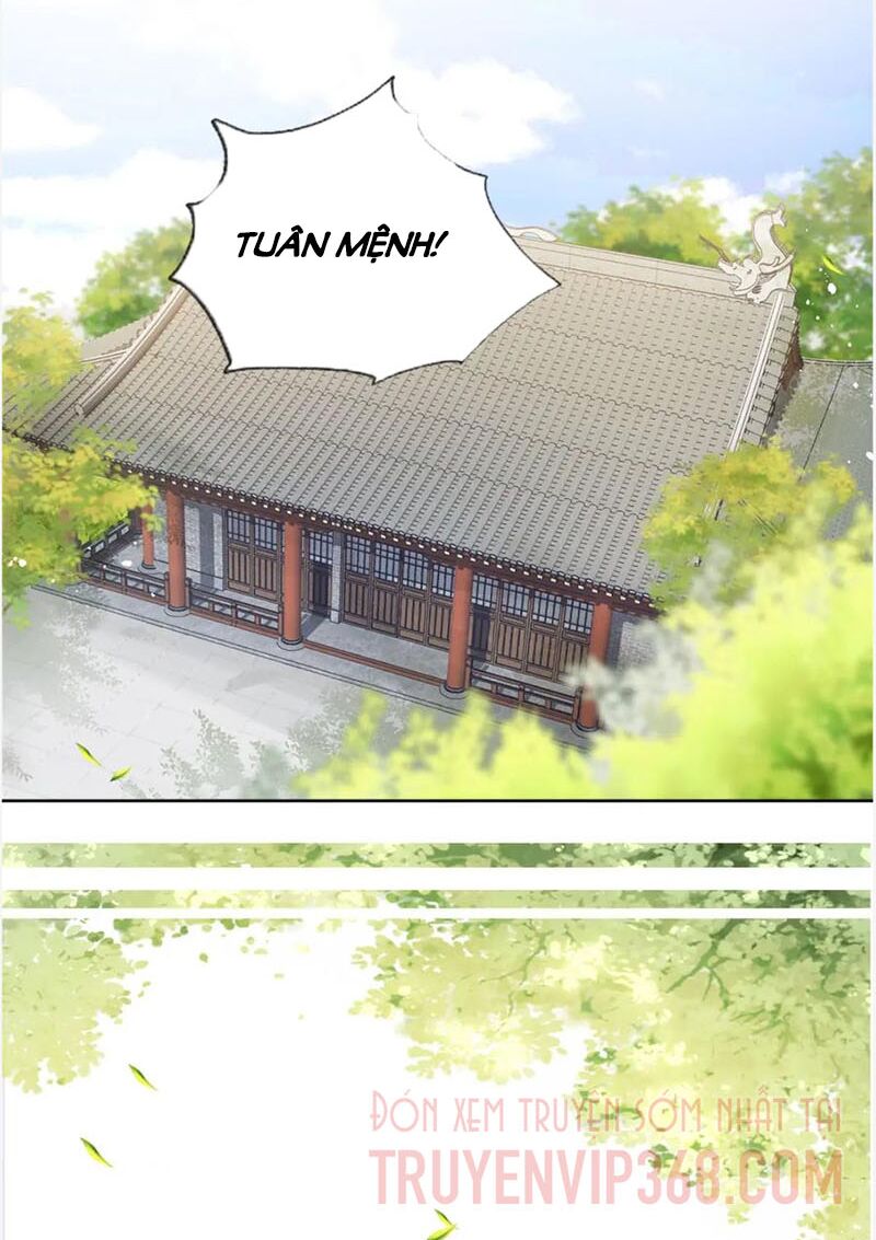 nhặt được bảo bối manh manh chapter 11 20