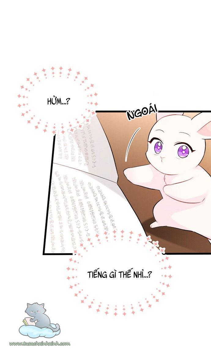 quan hệ cộng sinh giữa báo đen và thỏ trắng chapter 47 68