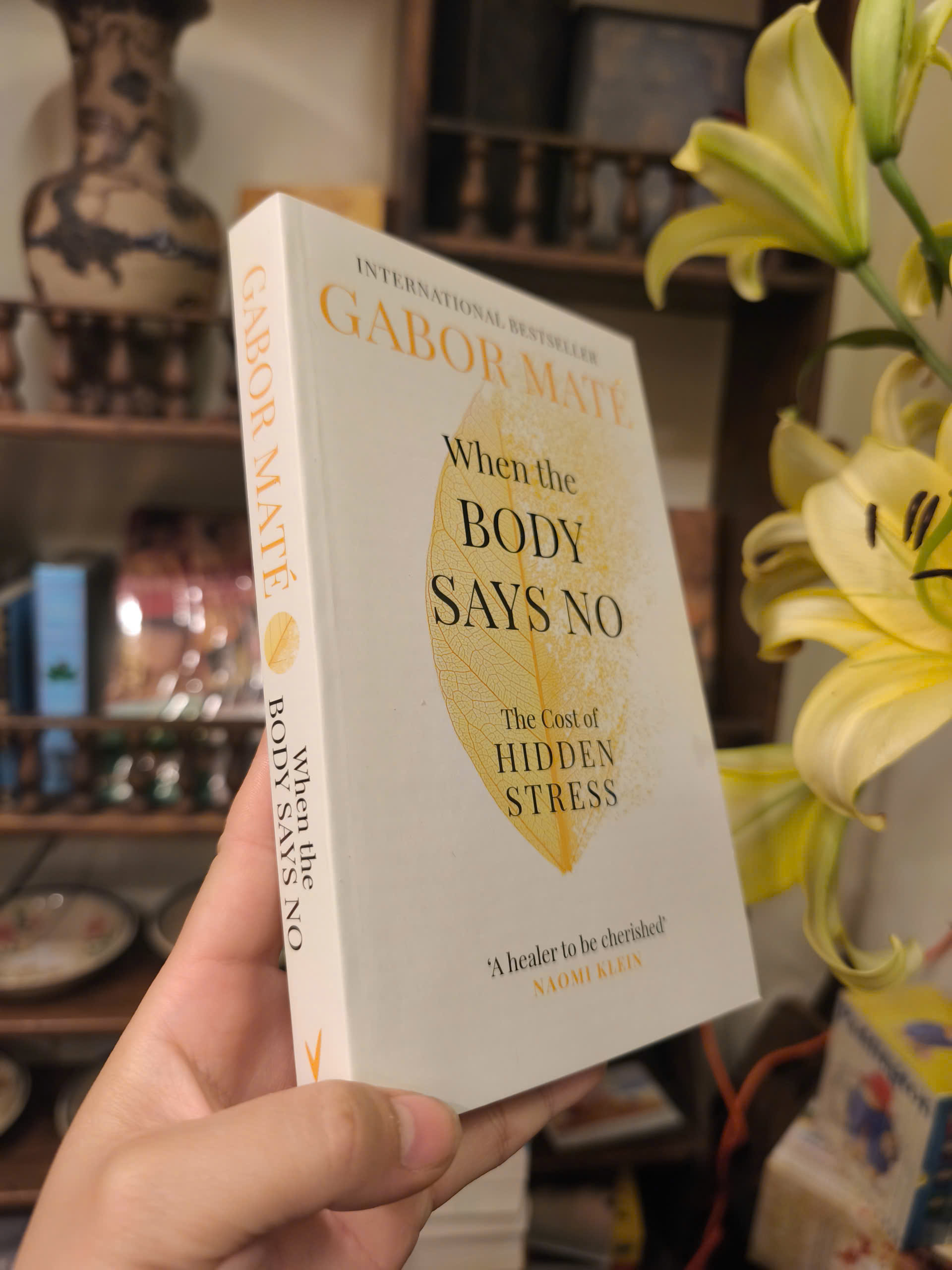 Sách - When the Body Says No by Gabor Maté | Psychology / Nonfiction / Ngoại văn / Tâm lý học