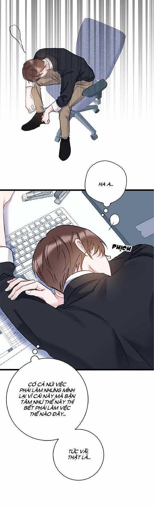 tình yêu bình dị nhất chapter 31 38