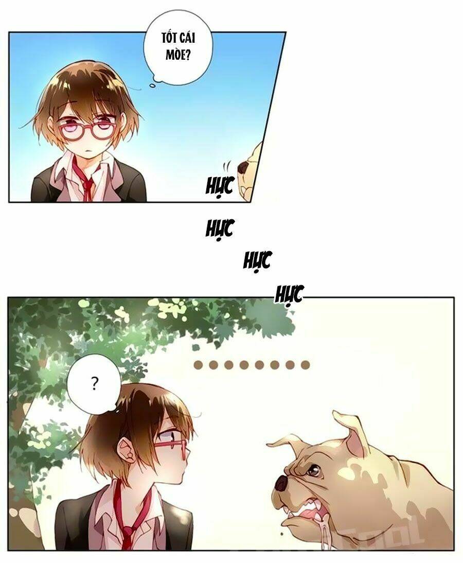 trọng sinh chi tinh quang thôi xán chapter 5 5