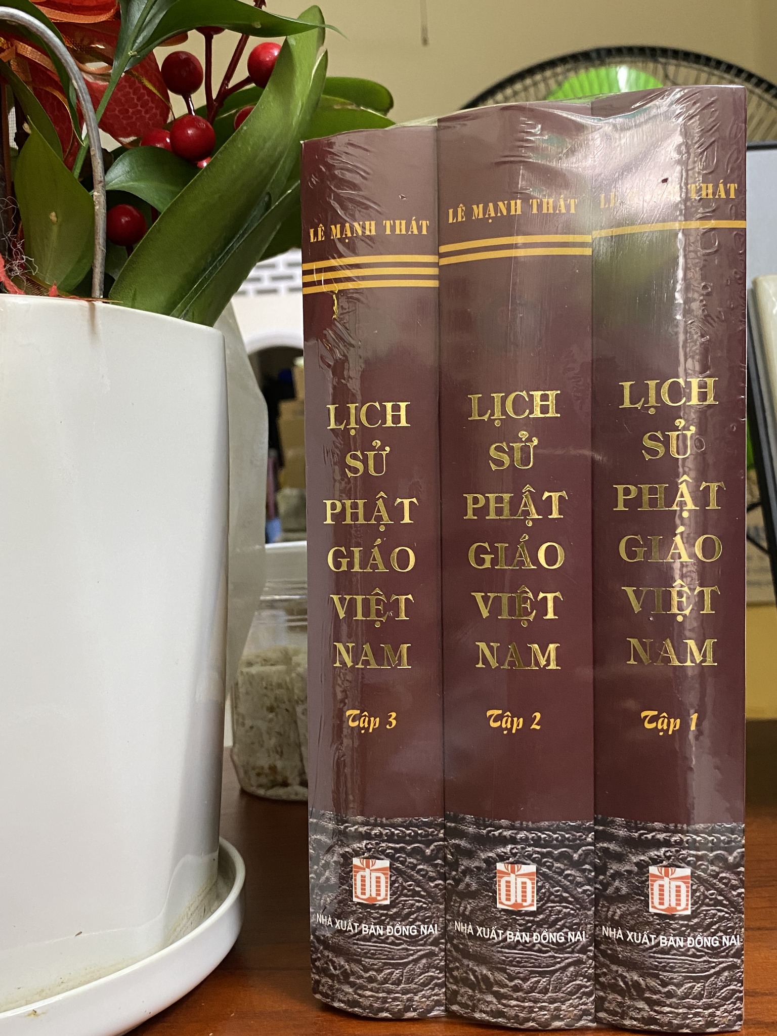Sách Mới - Lịch sử Phật giáo Việt Nam - Lê Mạnh Thát - Tái bản 2023 có chỉnh sửa, bổ sung tư liệu