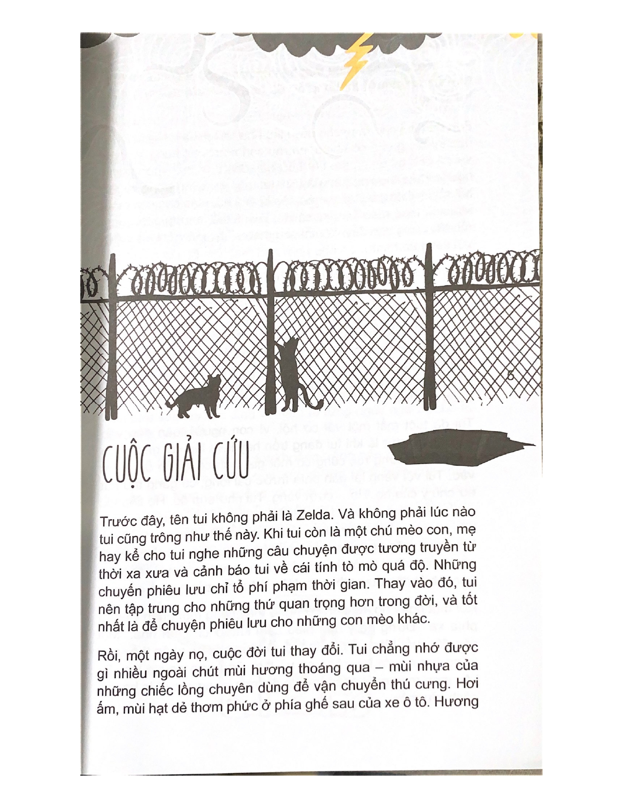 Mèo Con Phiêu Lưu Ký