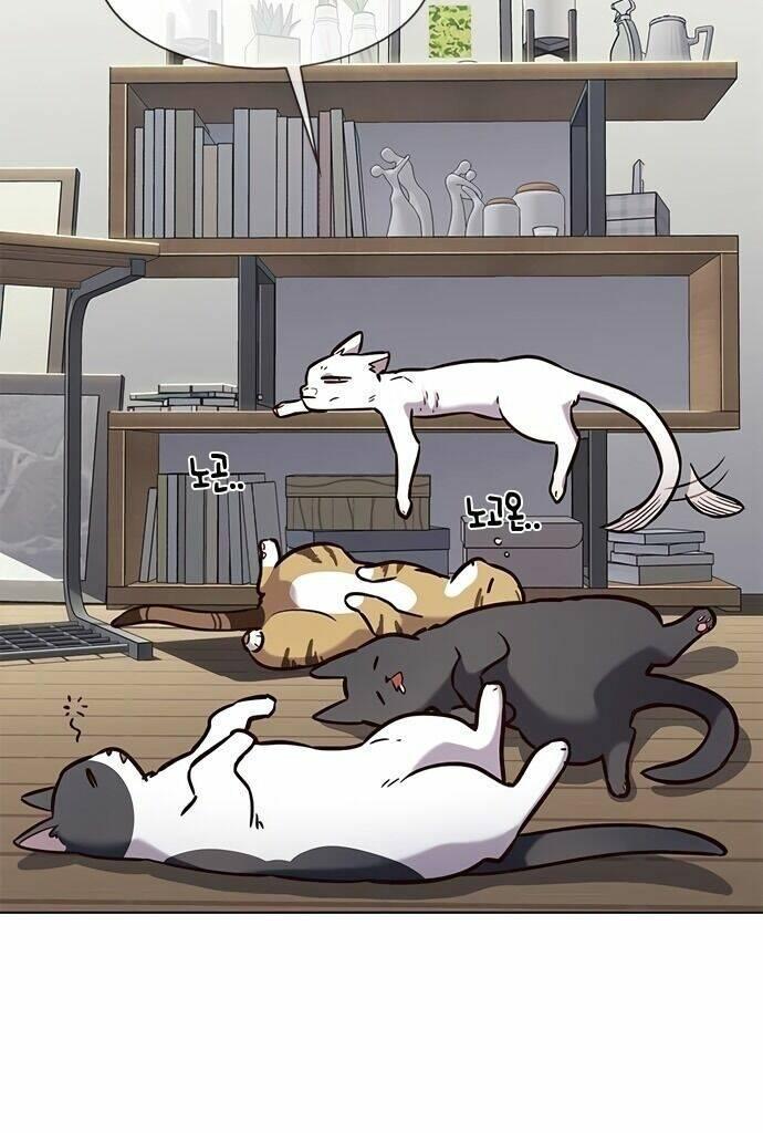 biến thân thành mèo chapter 187 4