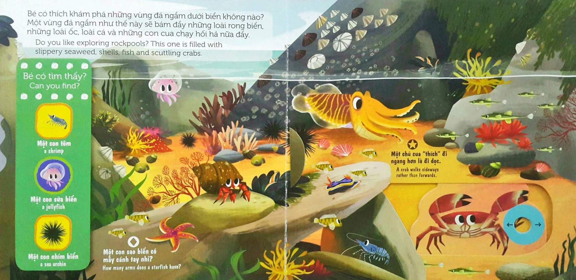 Sách Chuyển Động - First Explorers - Sinh Vật Biển - Sea Creatures