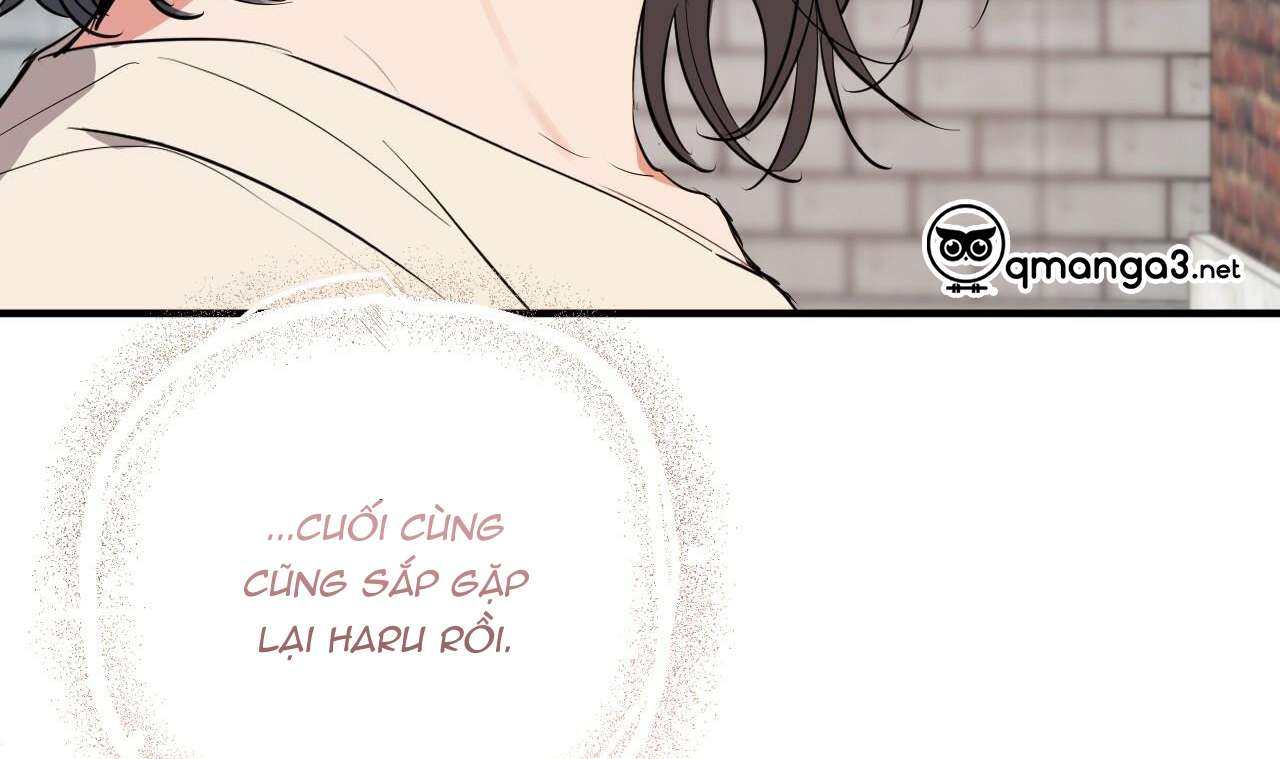 đàn thỏ của habibi chapter 44 171