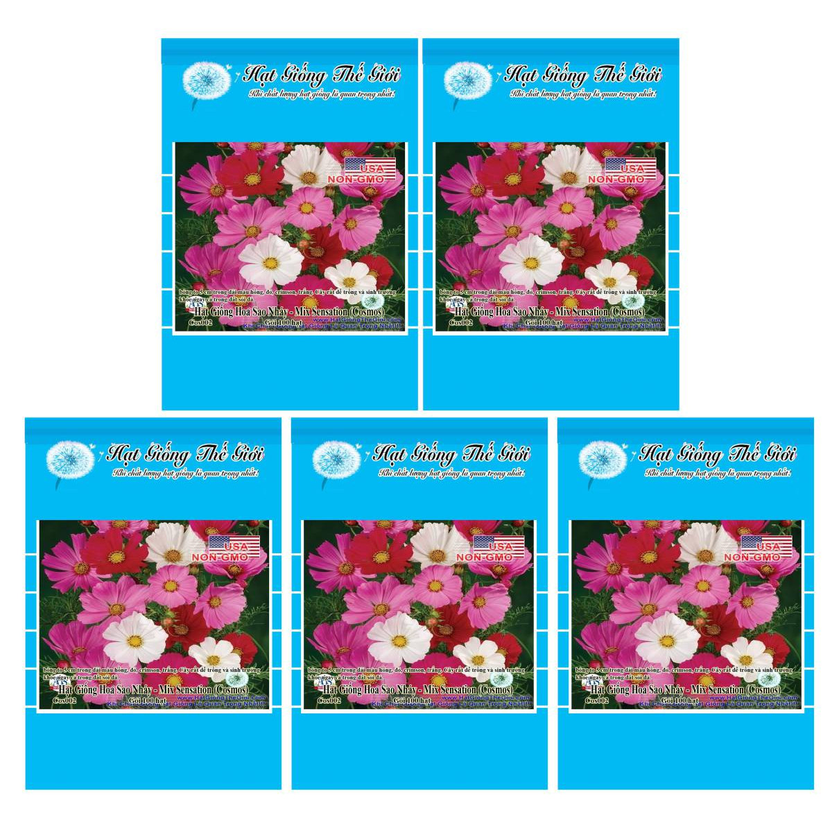 Bộ 5 Gói Hạt Giống Hoa Sao Nháy - Mix Sensation  100h
