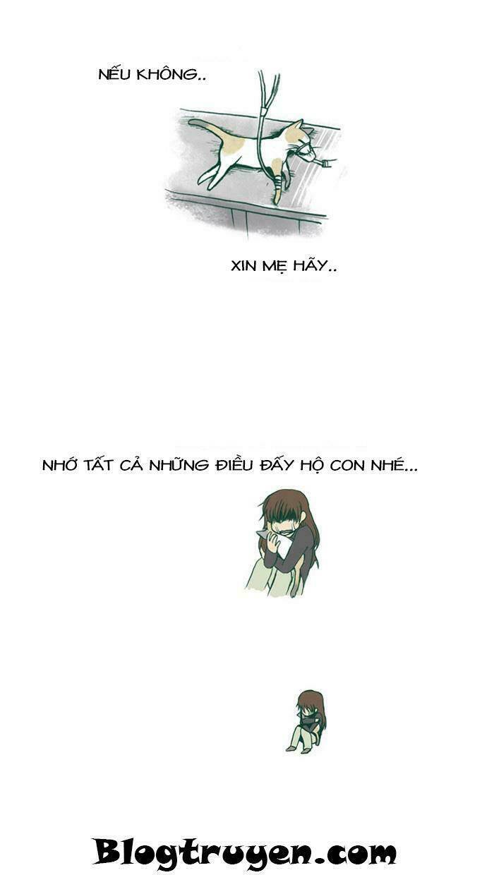 my kitty and old dog chapter 20 4