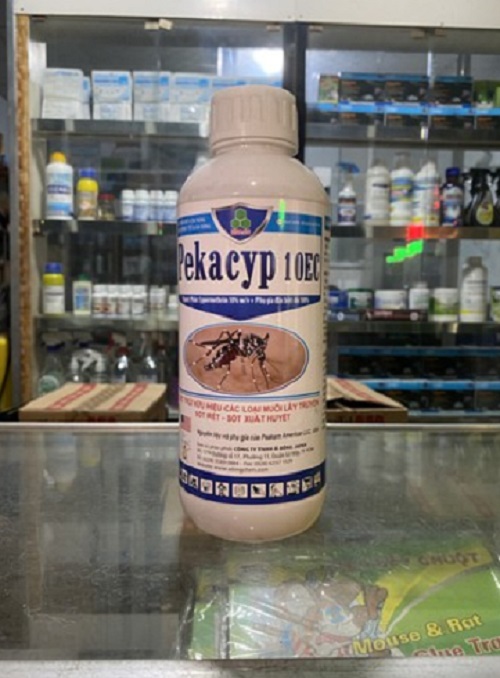 (Có mùi) Thuốc diệt muỗi PEKACYP 10EC thích hợp phun bên ngoài các công ty, quán cà phê sân vườn...