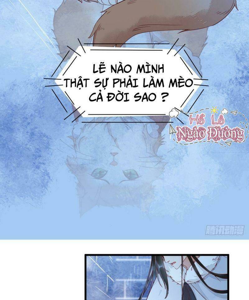 sát thủ vương phi không dễ chọc chapter 40 33