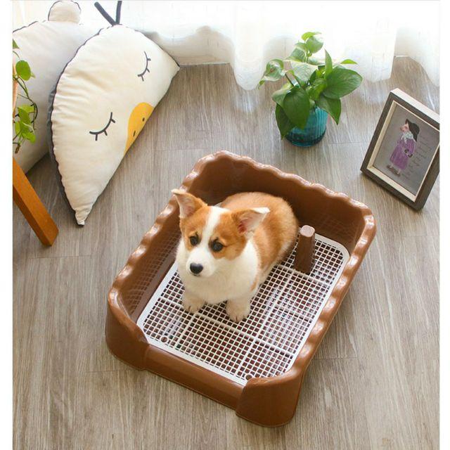 Khay vệ sinh có cọc và thành cao cho chó +Size Lớn + Tặng kèm miếng lót
