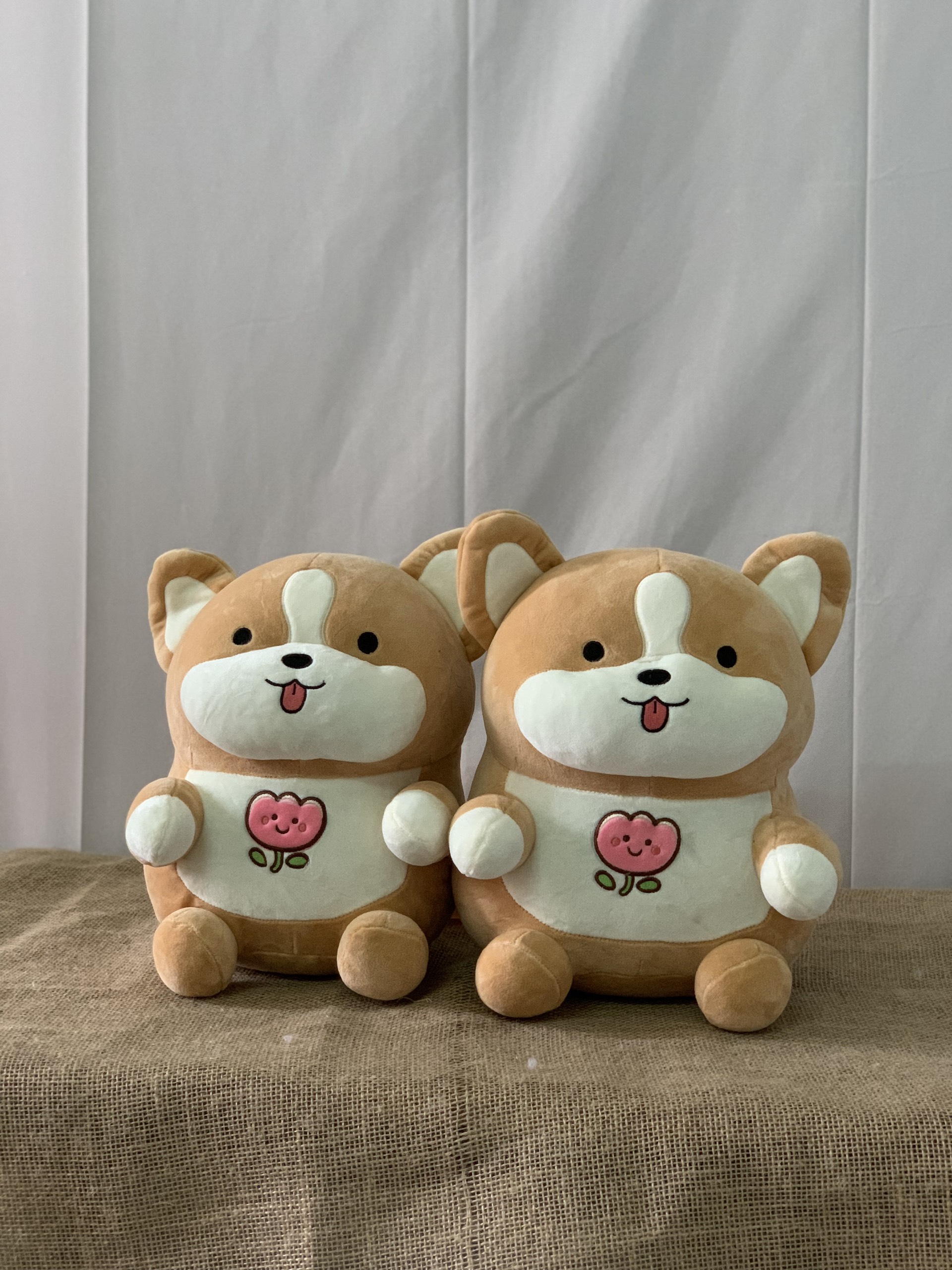 Gấu Bông Corgi Ngồi