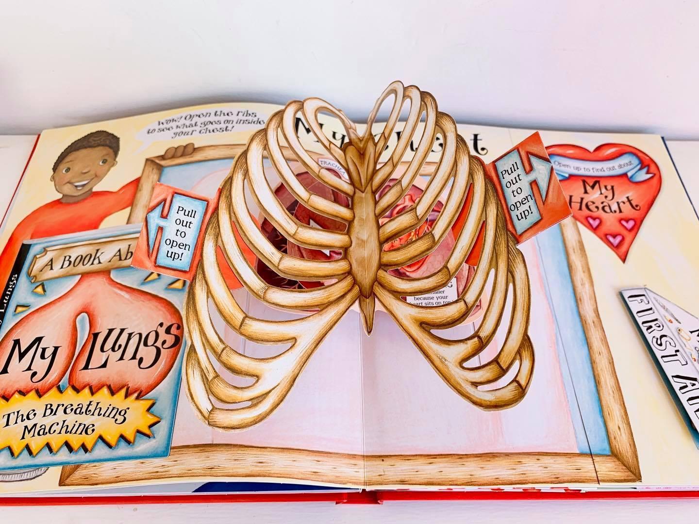 My Pop-Up Body Book