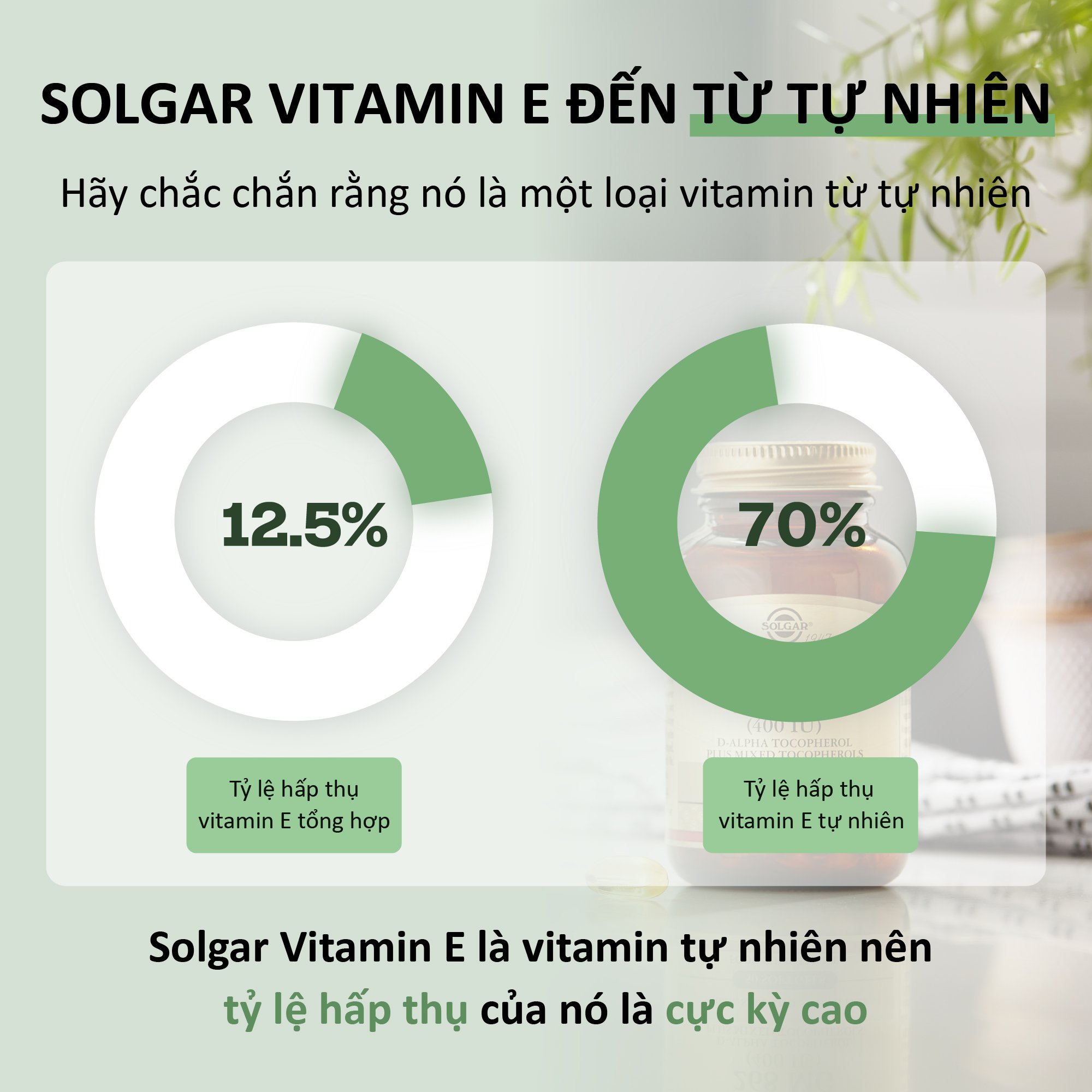 Viên Uống Solgar Vitamin E 400 IU - Bổ Sung Vtamin E, Hỗ Trợ Làm Đẹp Da, Ngăn Ngừa Lão Hóa [ 50 Viên]