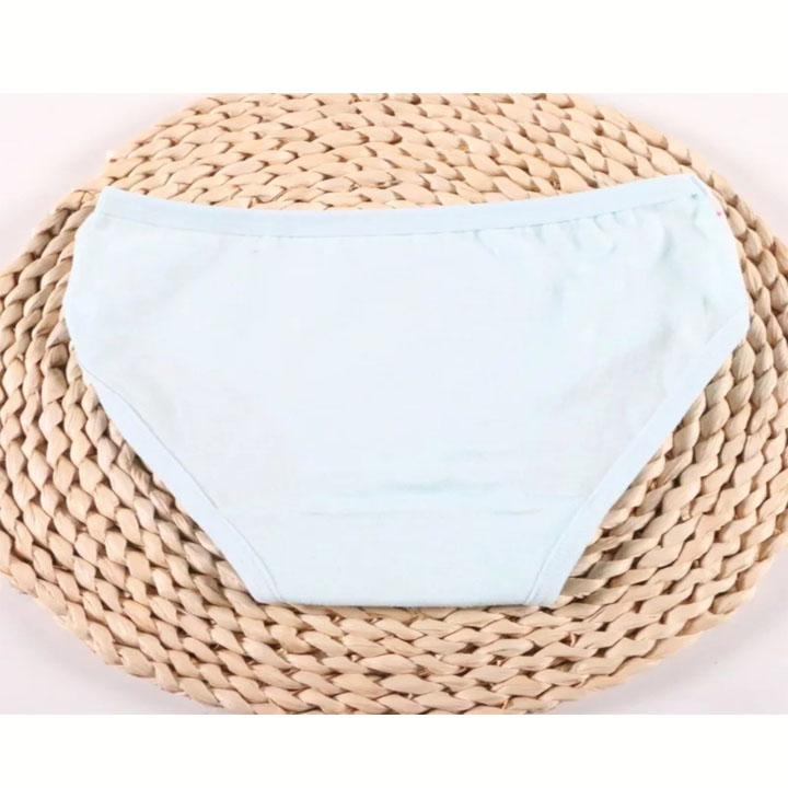Quần chip cotton hình công chúa nhiều màu sắc cho bé gái 2-12 tuổi – C006
