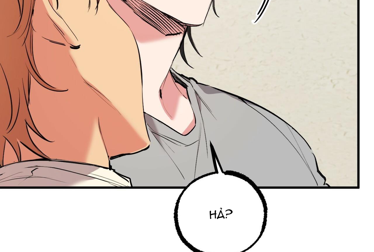 đàn thỏ của habibi chapter 32 42