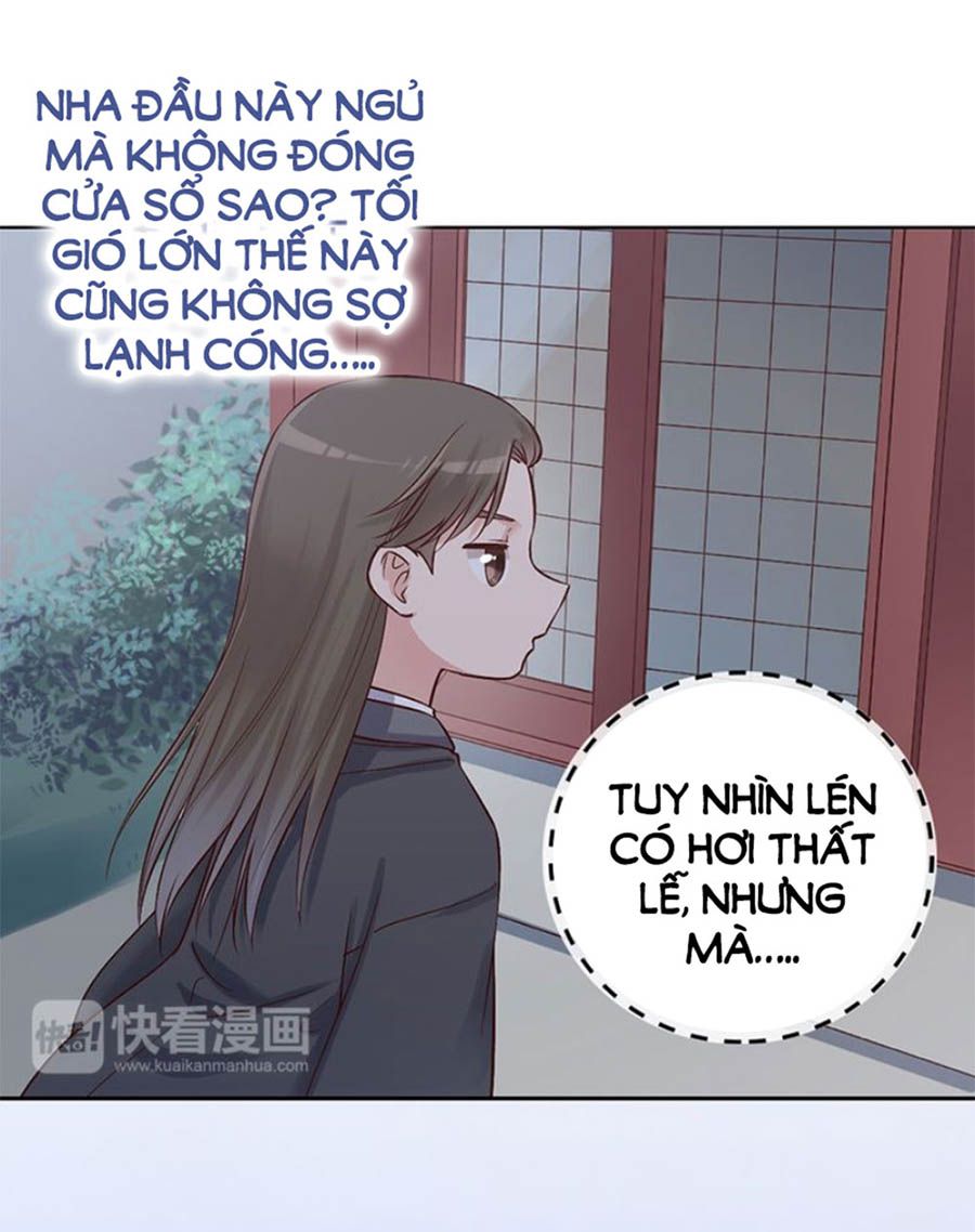 mỹ nhân già rồi chapter 25 5