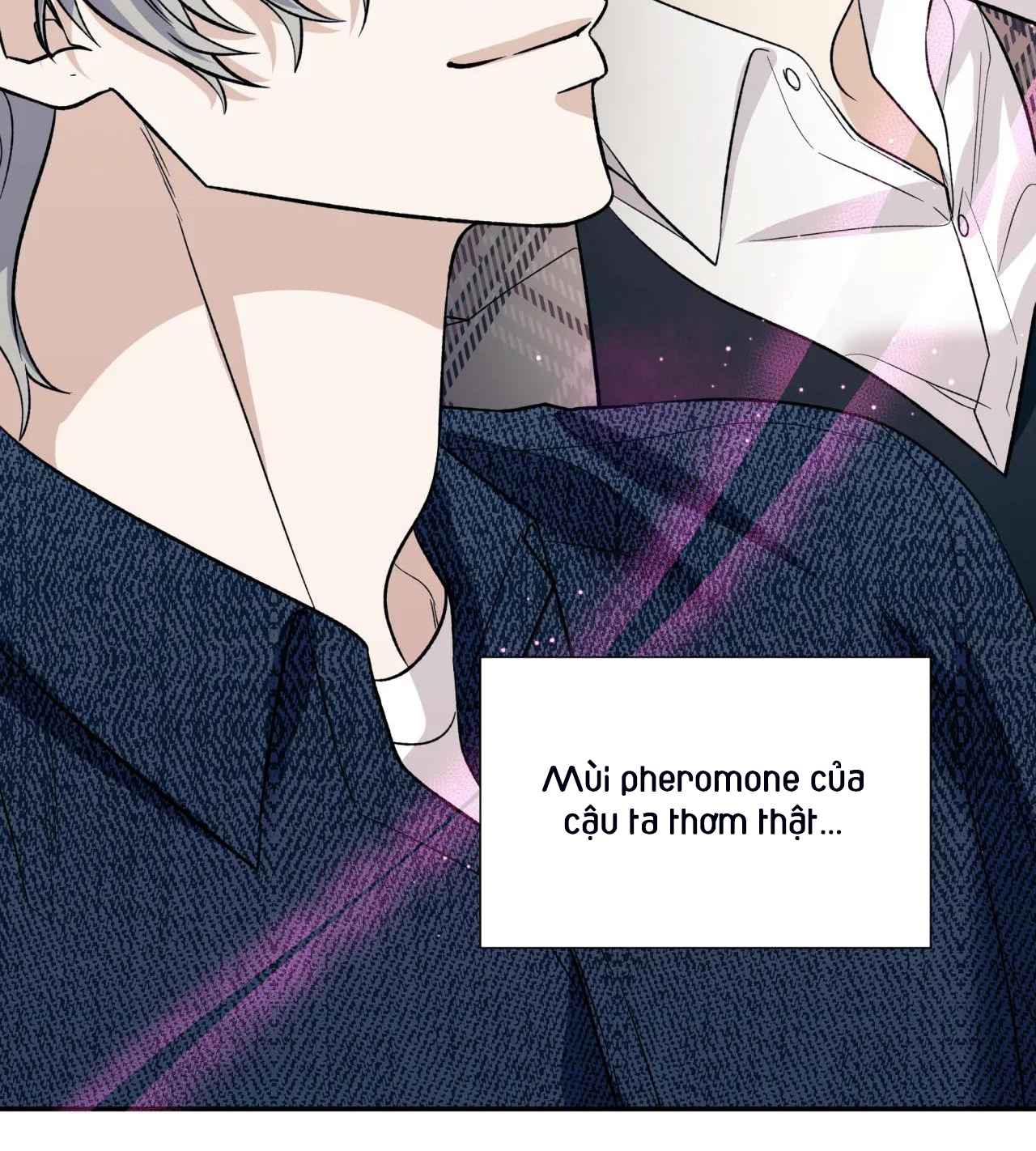 ám ảnh pheromone chapter 46 92