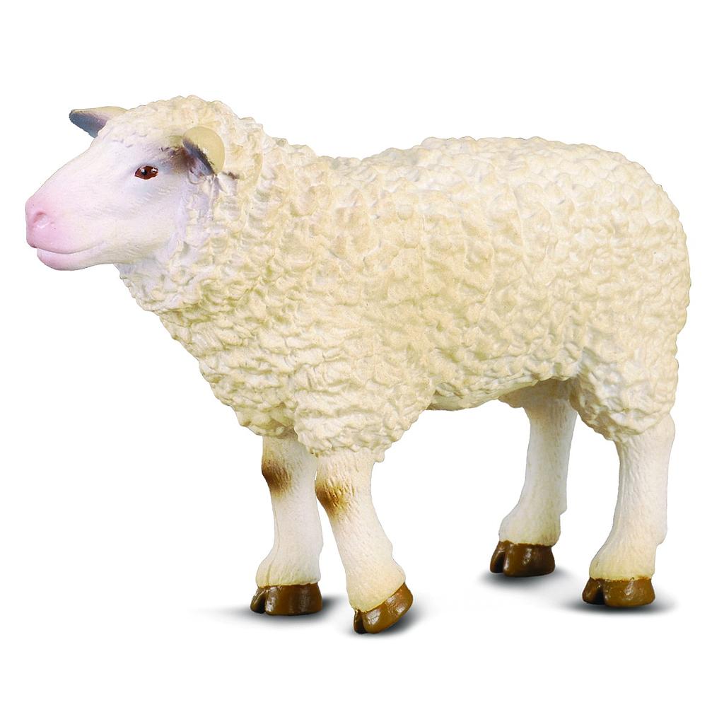 Mô hình thu nhỏ: Cừu mẹ - Sheep, hiệu: CollectA, mã HS 9650170 - Chất liệu an toàn cho trẻ - Hàng chính hãng