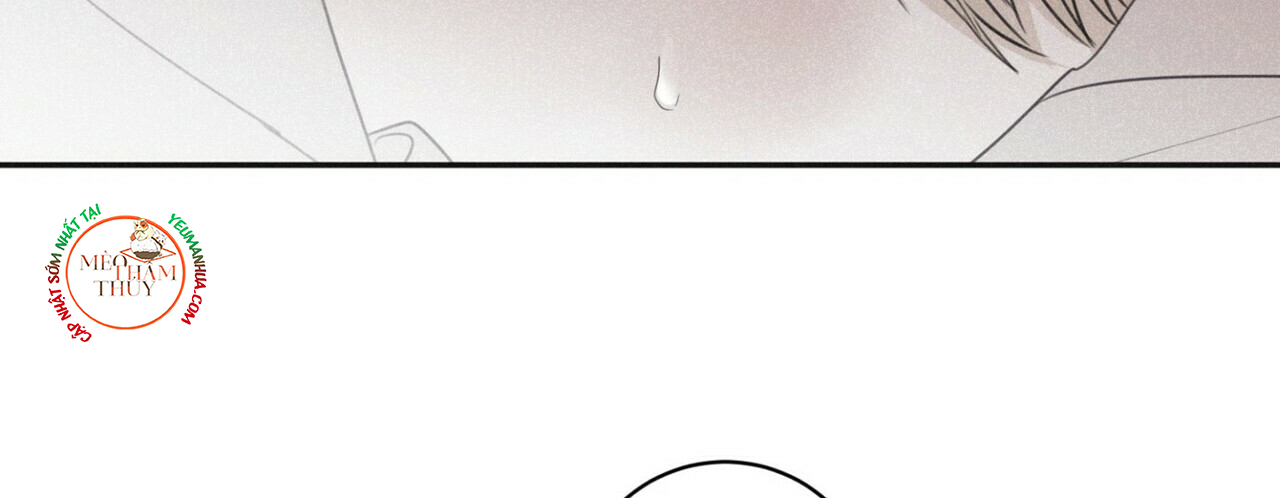 chiếu tướng chapter 44 122