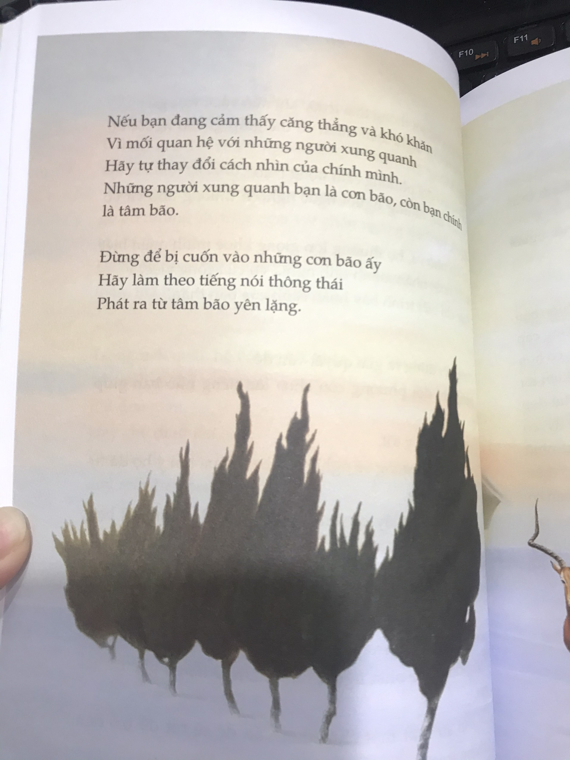 Yêu những điều không hoàn hảo
